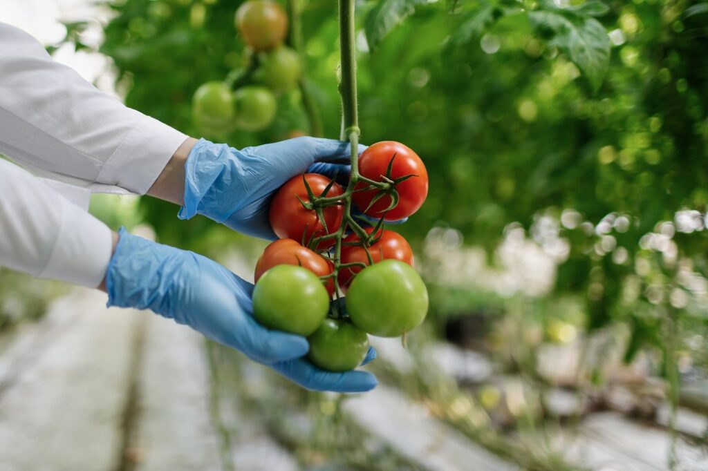 Ozono en la desinfección de frutas y verduras